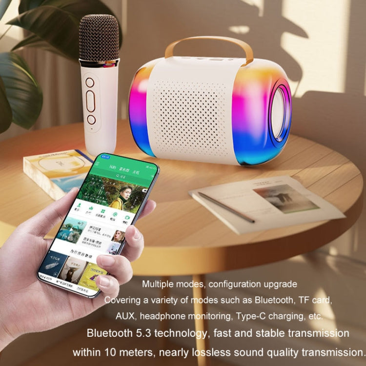 Y5 1 Microphone Portable Bluetooth Speaker Home And Outdoor Wireless Karaoke Audio(Black) - Microphone by PMC TechLife | Online Shopping South Africa | PMC TechLife | Buy Now Pay Later Mobicred