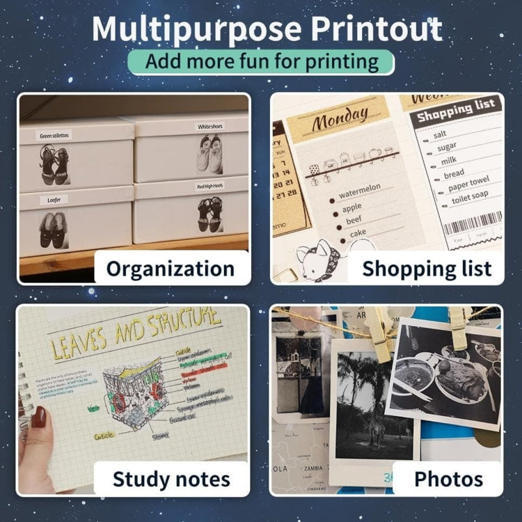 Phomemo 3rolls /Box 53mm Writing Quick-Drying Thermal Paper 10-Year Long-Lasting For M832 / M833 / M834 / M835 Printer - Printing Paper by PMC TechLife | Online Shopping South Africa | PMC TechLife | Buy Now Pay Later Mobicred