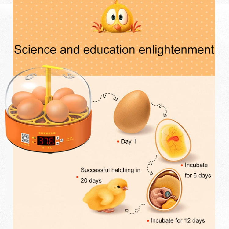 6-Eggs Small Household Experimental Children Smart Chicken Incubators, Spec: Manual AU Plug - Incubators by PMC TechLife | Online Shopping South Africa | PMC TechLife