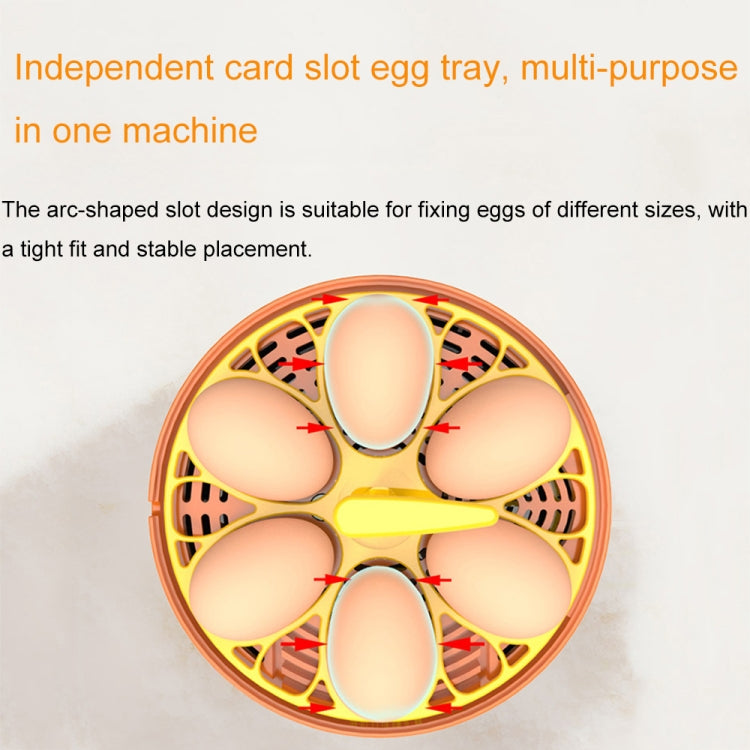 6-Eggs Small Household Experimental Children Smart Chicken Incubators, Spec: Automatic EU Plug - free shipping - PMC TechLife - Order now!