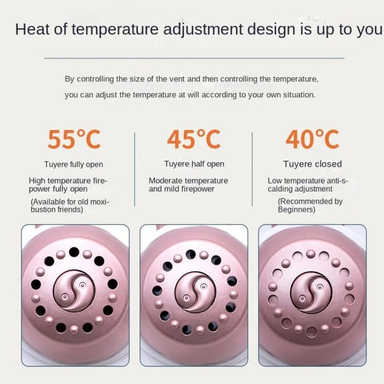 Portable Moxibustion Box Waist Abdomen Moxibustion Equipment(Pink) - Cupping & Moxibustion by PMC TechLife | Online Shopping South Africa | PMC TechLife | Buy Now Pay Later Mobicred