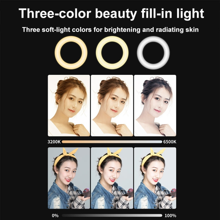 YRing48 4-Inch 48LEDs Laptop Camera Video Conference Live Beauty Ring Fill Light, Spec: Clip Set - free shipping - PMC TechLife - Order now!