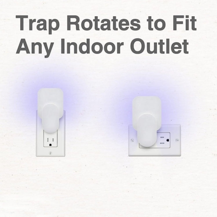 Plug-In Refillable Fly Trap For Flies, Moths, Gnats, And Other Flying Insects With 2 Glue Cards US Plug(White) - Traps by PMC TechLife | Online Shopping South Africa | PMC TechLife | Buy Now Pay Later Mobicred