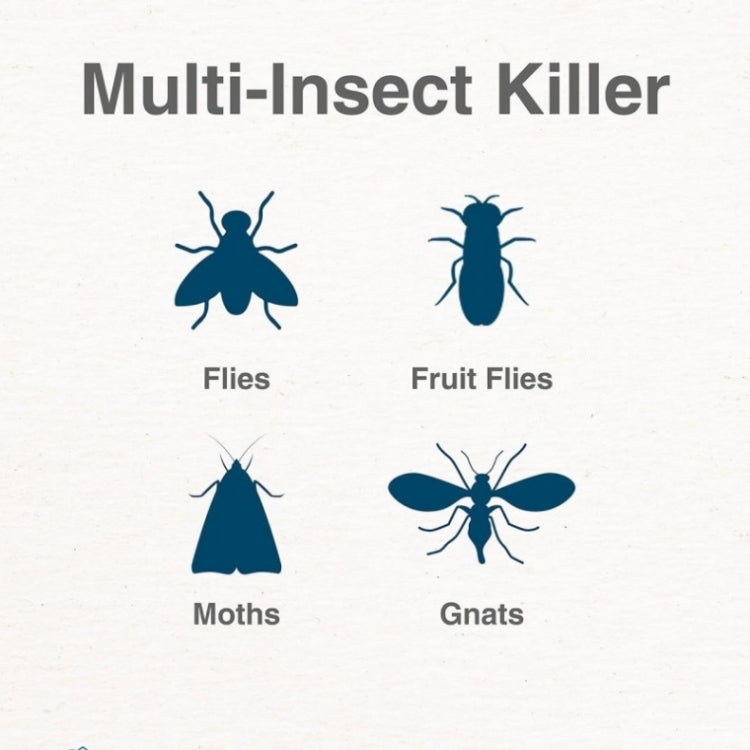 Plug-In Refillable Fly Trap For Flies, Moths, Gnats, And Other Flying Insects With 2 Glue Cards EU Plug(White) - Traps by PMC TechLife | Online Shopping South Africa | PMC TechLife | Buy Now Pay Later Mobicred