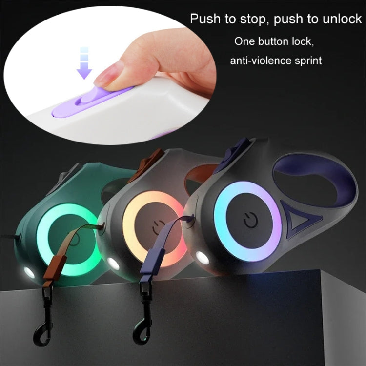 LED Light Luminous Pet Dog Leash Automatic Retractable Dog Walking Leash, Color: 5m Purple - Leashes & Chest Strap by PMC TechLife | Online Shopping South Africa | PMC TechLife | Buy Now Pay Later Mobicred