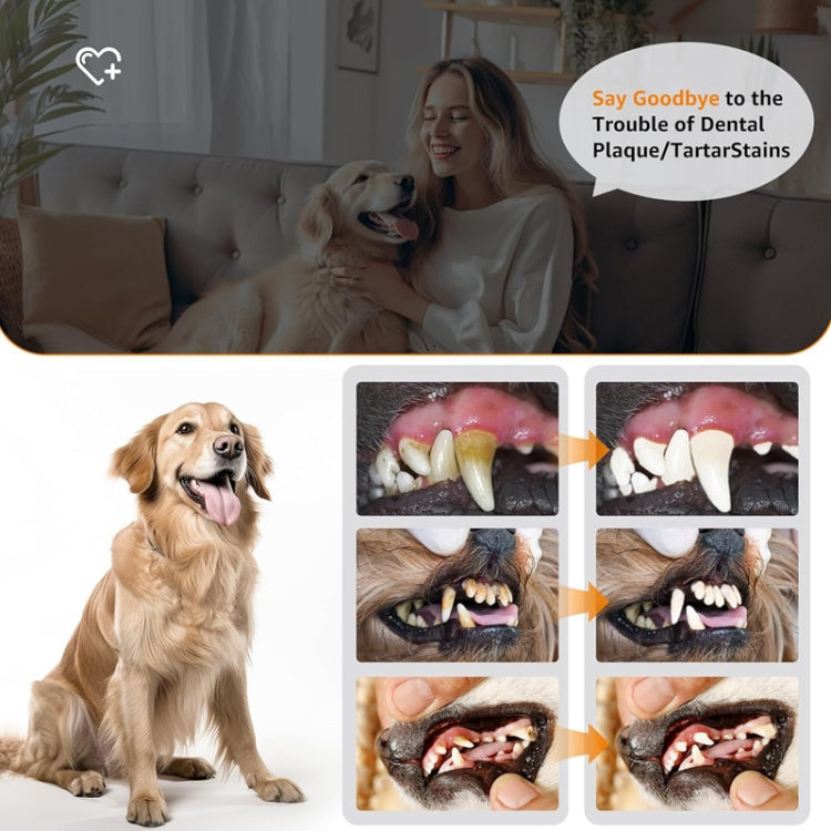 Pet Ultrasonic Teeth Cleaner Dog Electric Teeth Cleaning Tool Home Dentistry Tartar Remover(White) - Oral Cleaning Tools by PMC TechLife | Online Shopping South Africa | PMC TechLife | Buy Now Pay Later Mobicred