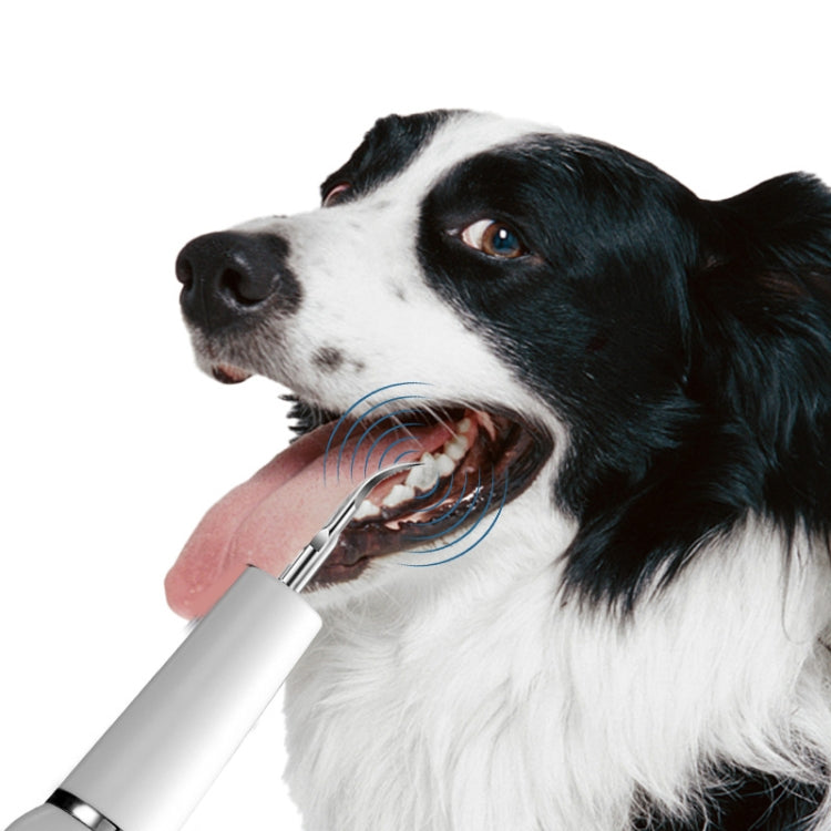 Pet Ultrasonic Teeth Cleaner Dog Electric Teeth Cleaning Tool Home Dentistry Tartar Remover(White) - Oral Cleaning Tools by PMC TechLife | Online Shopping South Africa | PMC TechLife | Buy Now Pay Later Mobicred