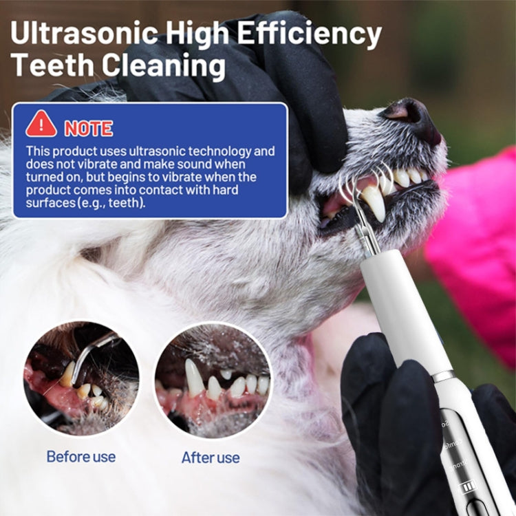 Pet Ultrasonic Teeth Cleaner Dog Electric Teeth Cleaning Tool Home Dentistry Tartar Remover(Black) - Oral Cleaning Tools by PMC TechLife | Online Shopping South Africa | PMC TechLife | Buy Now Pay Later Mobicred