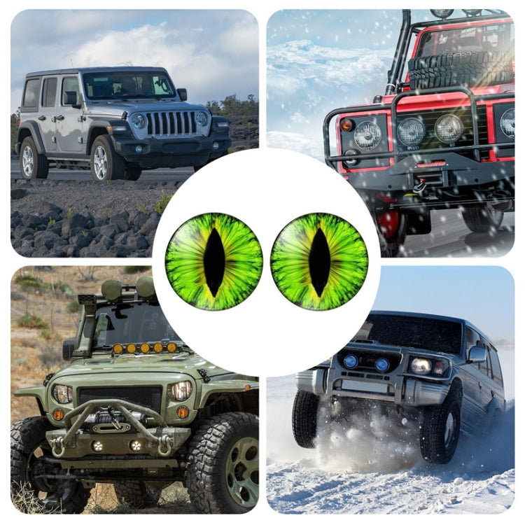1pair Beast Eyes Headlight Decorative Stickers Off-Road Vehicle Front Lights Stereo Decals, Style: 3 - Lamp Decoration by PMC TechLife | Online Shopping South Africa | PMC TechLife | Buy Now Pay Later Mobicred