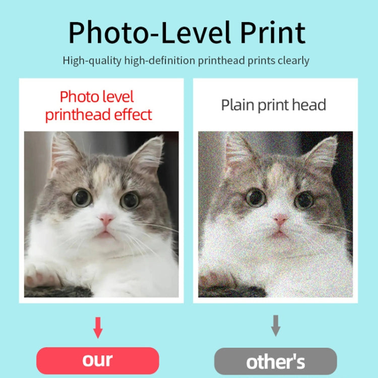 TBD06054484_B10.jpg@305aa7269a1c3c69a82a305950c47eab