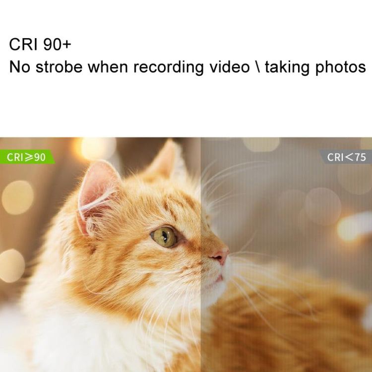 WS-300II Video Fill Light Dual Color Temperature LED Beauty Shooting Light, Spec: Single Lamp+EU Plug Adapter -  by PMC TechLife | Online Shopping South Africa | PMC TechLife | Buy Now Pay Later Mobicred