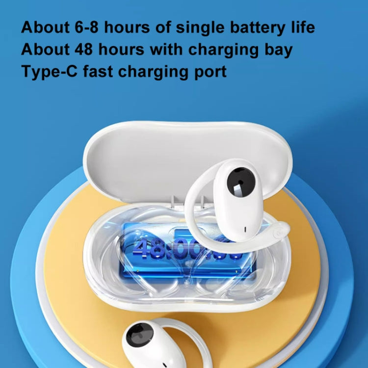 TBD06054869_B2.jpg@9bacdc3247fca3aa9dd2208387280de6