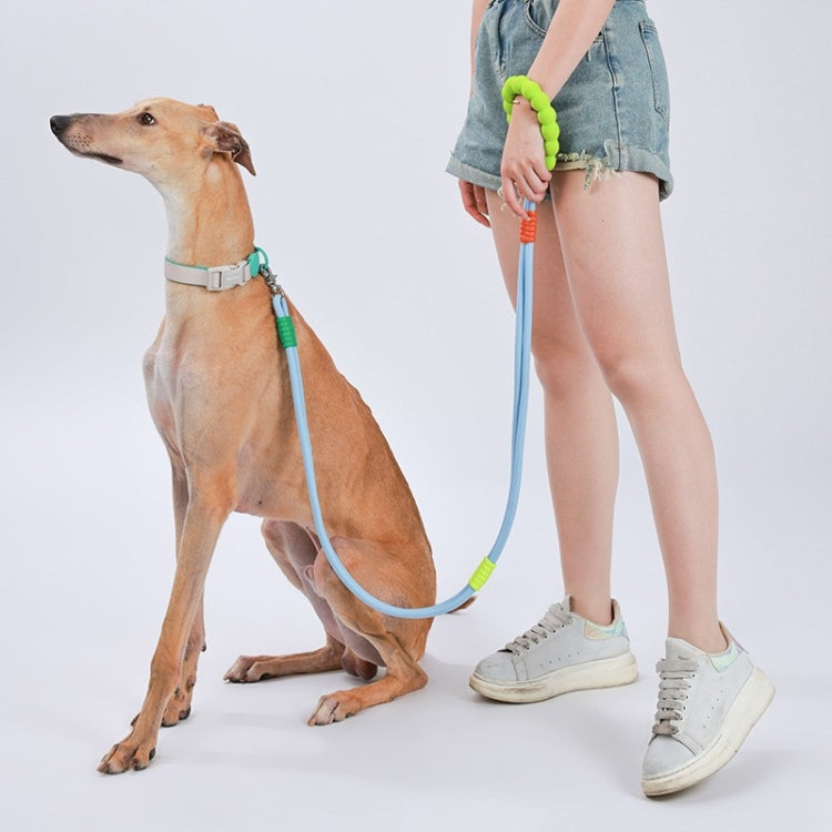Explosion-Proof  Two-Stage Dog Leash With Foam Handle For Medium And Large Dogs(Black Currant) - Leashes & Chest Strap by PMC TechLife | Online Shopping South Africa | PMC TechLife | Buy Now Pay Later Mobicred
