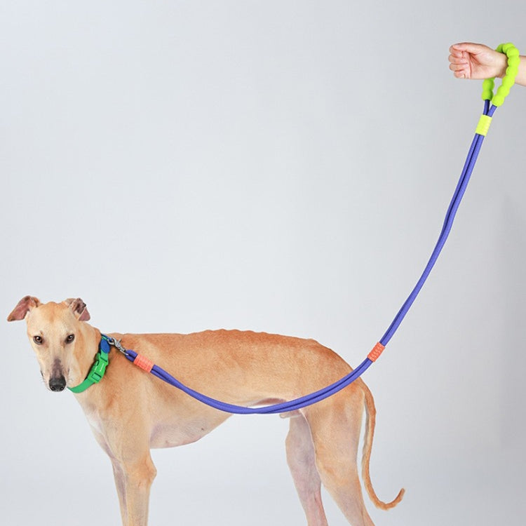 Explosion-Proof  Two-Stage Dog Leash With Foam Handle For Medium And Large Dogs(Sea Salt Blue) - Leashes & Chest Strap by PMC TechLife | Online Shopping South Africa | PMC TechLife | Buy Now Pay Later Mobicred