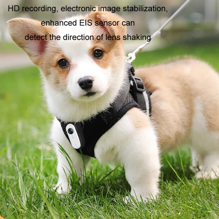 HD Outdoor Portable Pet Recorder Cycling Sports Camera, Specifications: With 32G TF Card - Video Cameras by PMC TechLife | Online Shopping South Africa | PMC TechLife | Buy Now Pay Later Mobicred