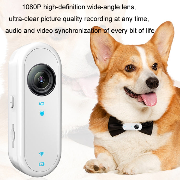 HD Outdoor Portable Pet Recorder Cycling Sports Camera, Specifications: With Silicone Collar+32G TF Card - Video Cameras by PMC TechLife | Online Shopping South Africa | PMC TechLife | Buy Now Pay Later Mobicred