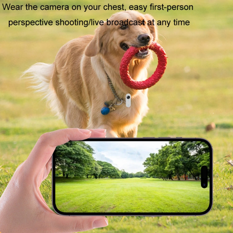 HD Outdoor Portable Pet Recorder Cycling Sports Camera, Specifications: With Silicone Collar - Video Cameras by PMC TechLife | Online Shopping South Africa | PMC TechLife | Buy Now Pay Later Mobicred