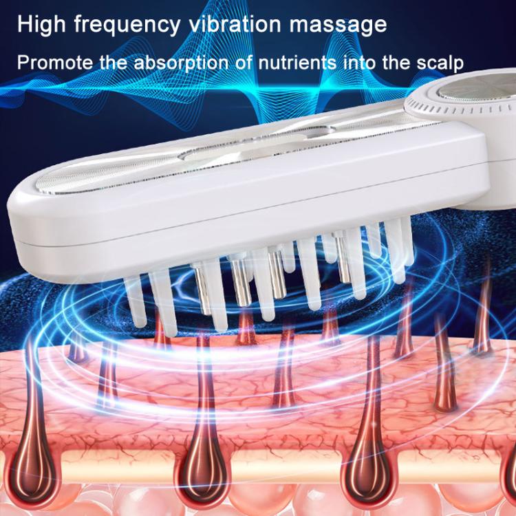 Hair Oil Applicator Roller Ball Red / Blue Light Electric Massage Comb Hair Regrowth Conductive Comb(White) - free shipping - PMC TechLife - Order now!