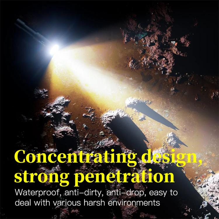 Sea Frogs  SF-L03 100m/325FT IPX8 Underwater Video Light 1000 lm Diving Flashlight(Blue) - free shipping - PMc TechLife - Order now!