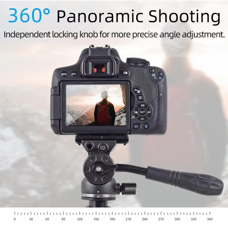 TBD06058554_2.jpg@258903668465c62d05c1bca217ada5c1