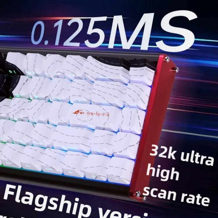 TBD06058894_B6.jpg@3eb4161c97563e401f3ceb11c44dcff1