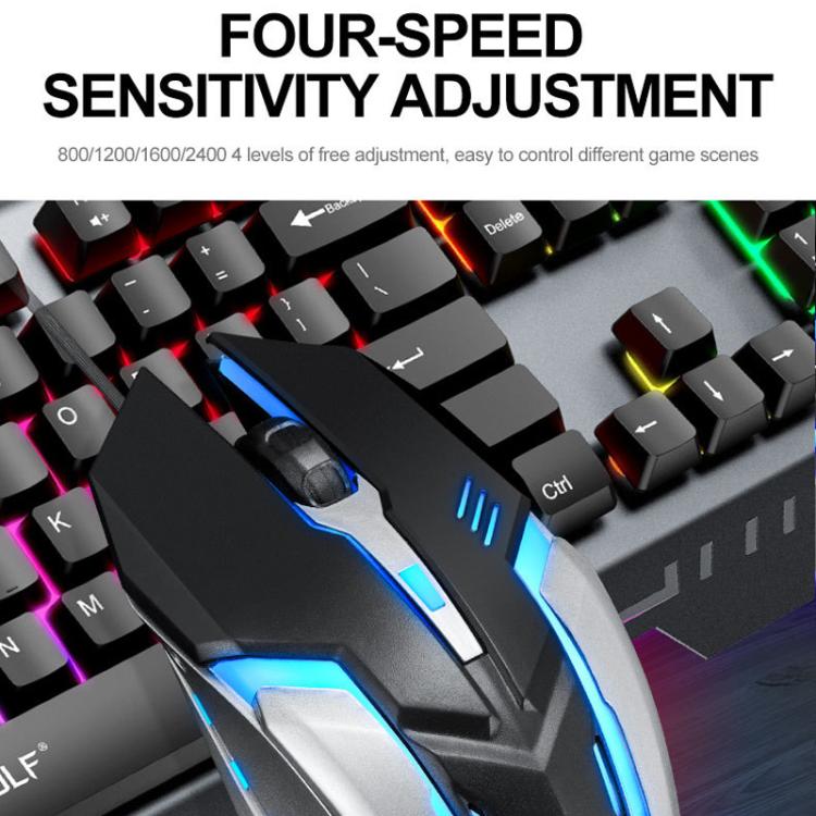 TBD06058918_B6.jpg@b0a0eec22085935c0a5e9e8b4270ac76