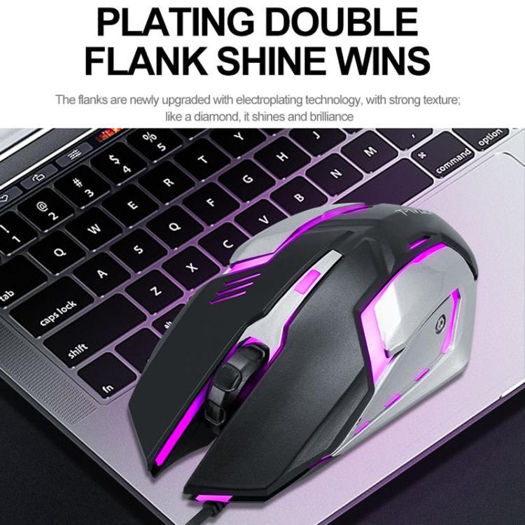 TBD06058918_B7.jpg@e40eedfaddbbf82b76a35d77d6c86d53