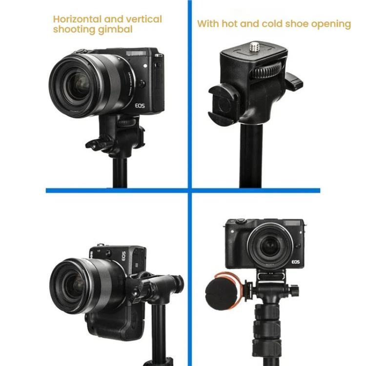 TBD06058946_B3.jpg@4ef382a01f857f37698236e7d0392614