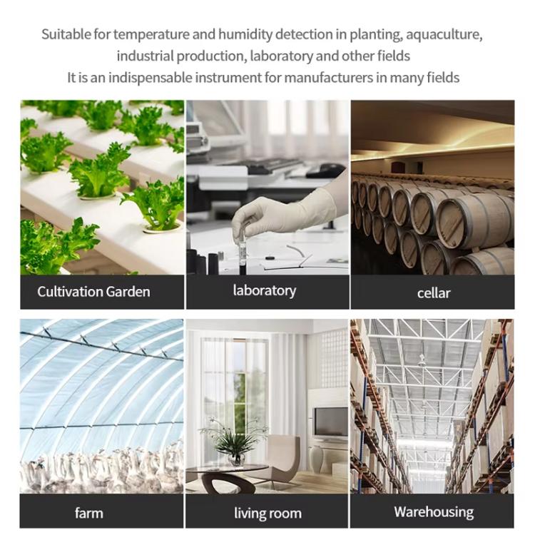 TBD06059510_B11.jpg@05d8132d236432b8b8e2e528b569ec39