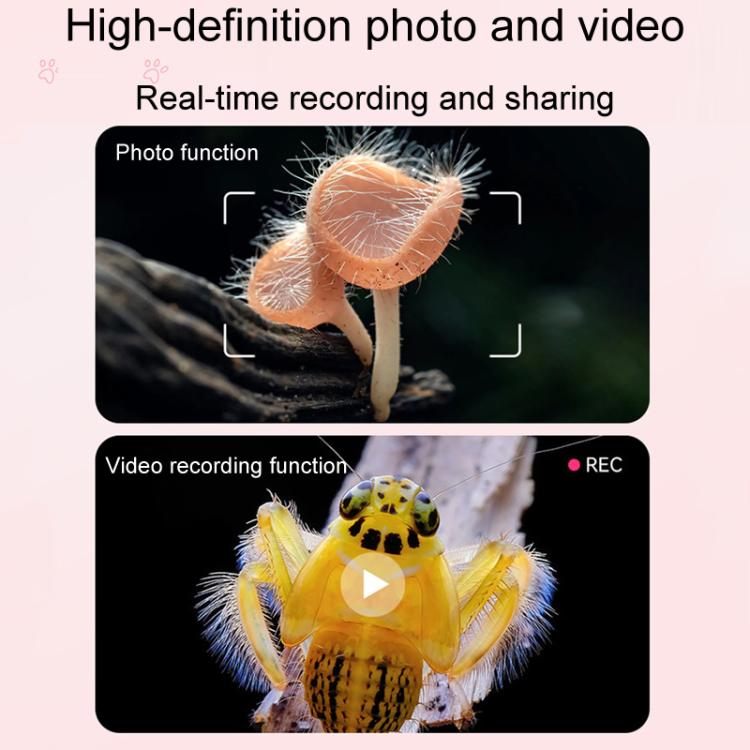 TBD06059514_B5.jpg@f4876e0fa2365e2c5f41c3c1643bdeba