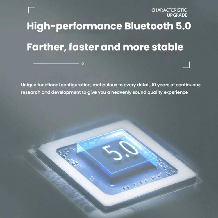 TBD06059944_B4.jpg@3b85de2c80303862085a2cd21bd141d9