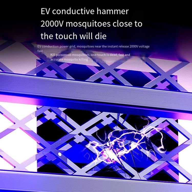 TBD06059961_B5.jpg@b661deba67c9644d63564f31b6808ff7