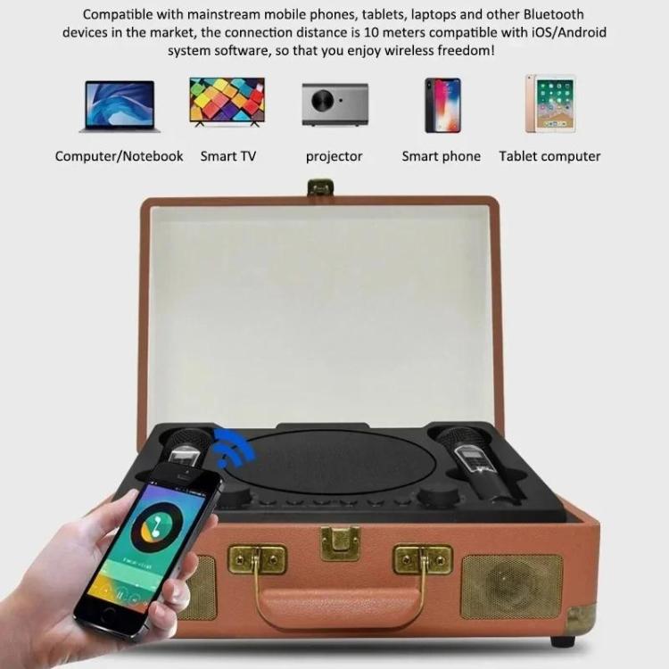 SDRD Wooden Box Karaoke Machine With Wireless Dual Mics All-In-One Speaker System Supports U Disk/TF Card(Black) - free shipping - PMC TechLife - Order now!