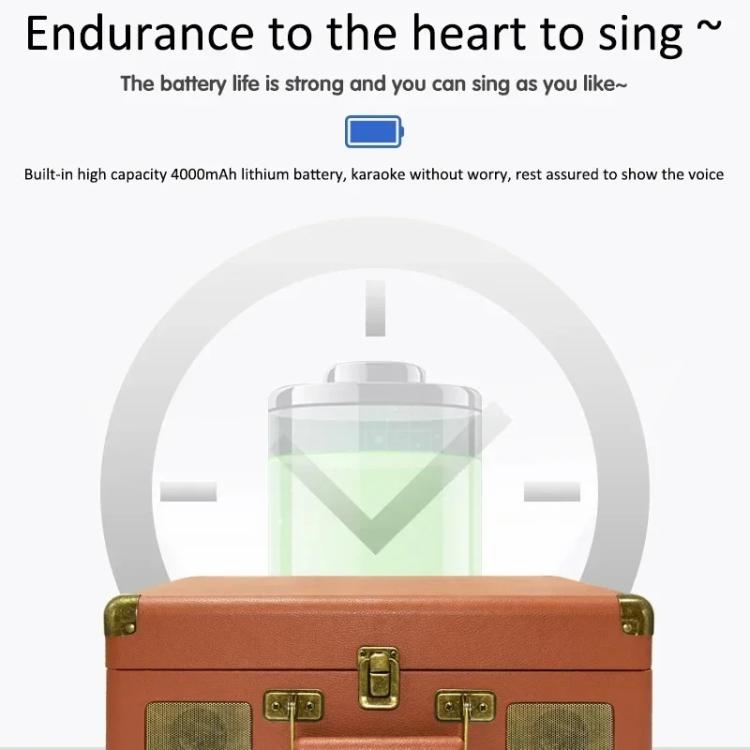 SDRD Wooden Box Karaoke Machine With Wireless Dual Mics All-In-One Speaker System Supports U Disk/TF Card(Gray) - free shipping - PMC TechLife - Order now!