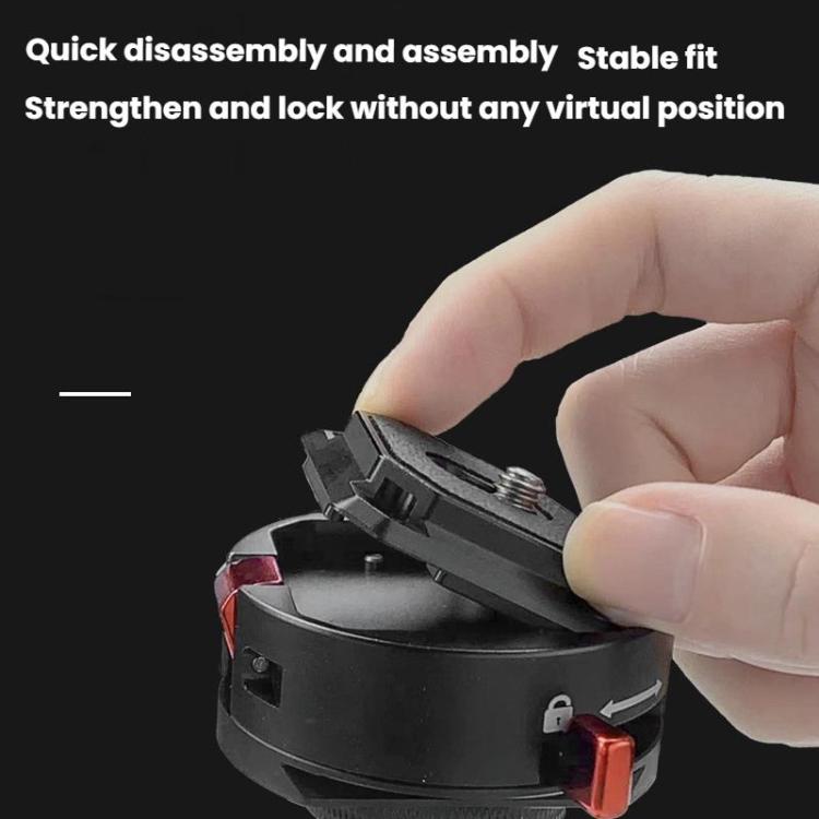 TBD06061131_B2.jpg@9c955d26b1def7ea6f796af1a6413de7