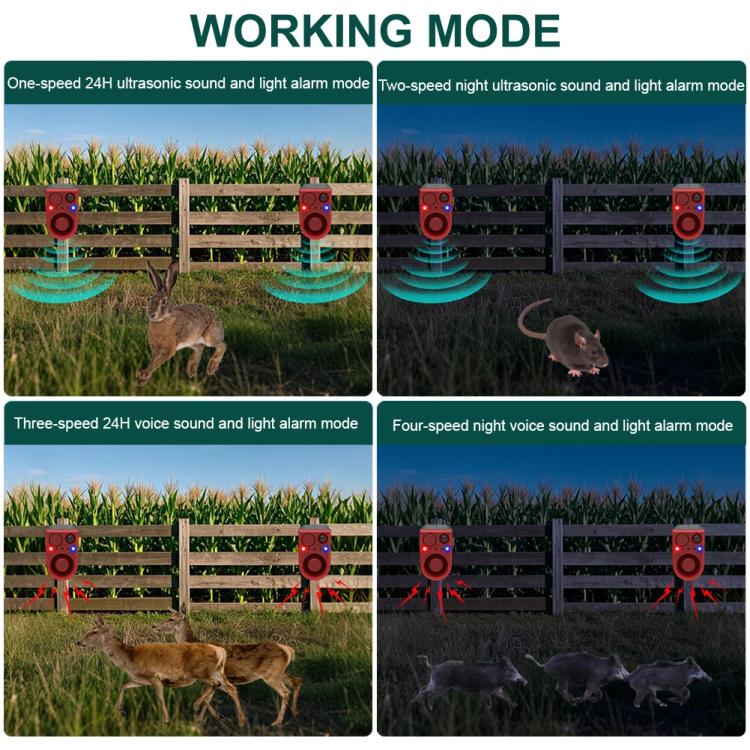 TBD06062277_B3.jpg@2949060c1253b521f7083148e4e967bf