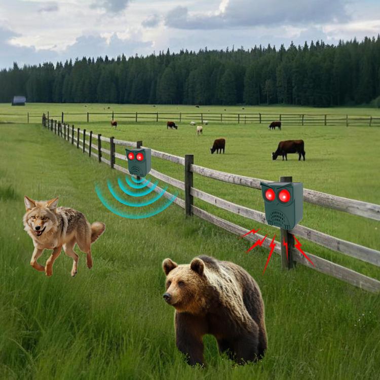 TBD06062305_B4.jpg@0fe90d4acb096aba77672c7e9620bbe2