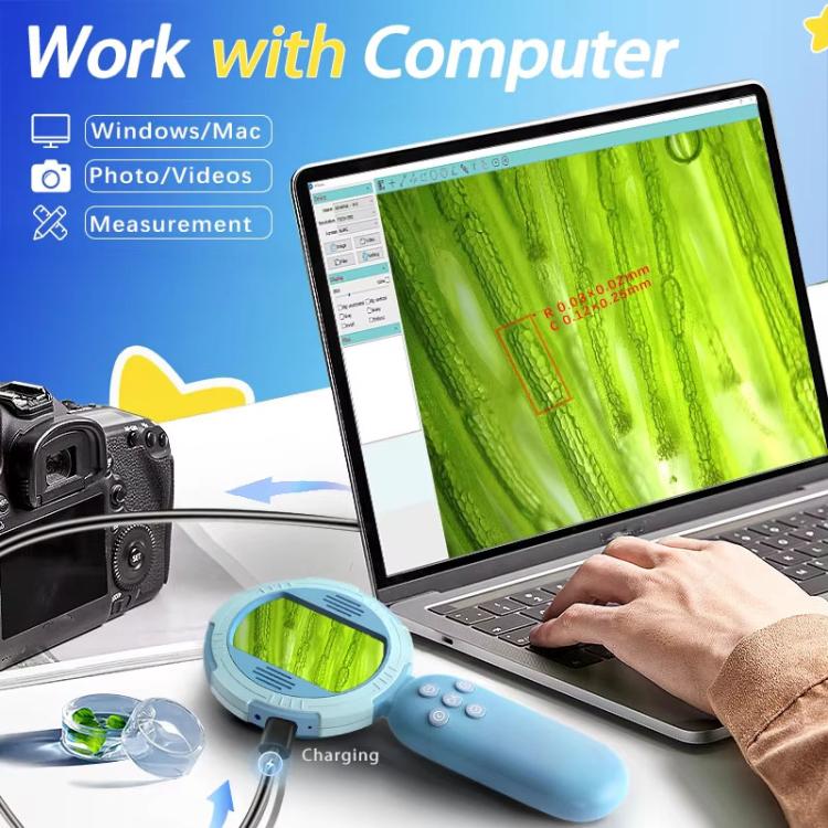 TBD06062803_B7.jpg@ecec2dedceead11fe5c9327ebb340104