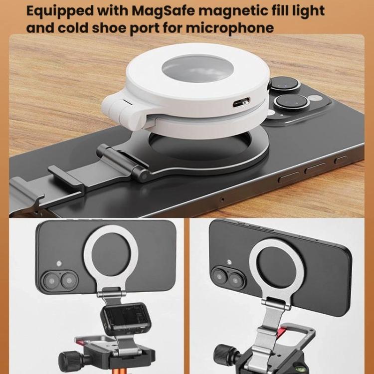 TBD06063369_B6.jpg@e36984c4a38b7310a1ad172c20df3527