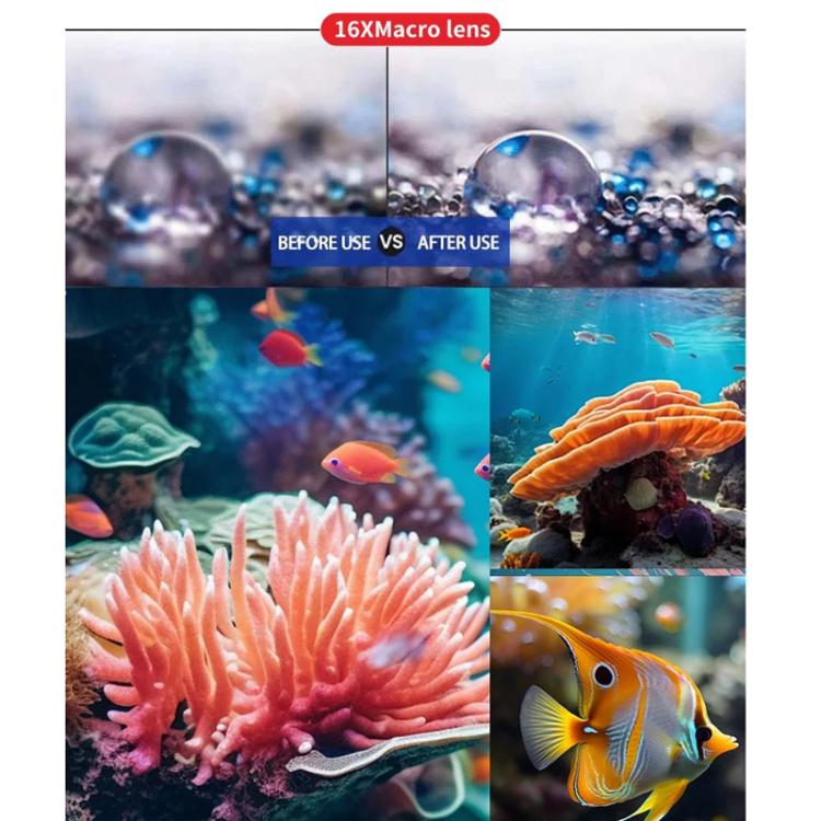 TBD06064757_B7.jpg@a1319ba61229533c2fb5fdc6541842f7