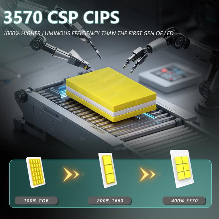 TBD06065000_B5.jpg@9f70b4e02ad9185a8eb743115d8ee4ce