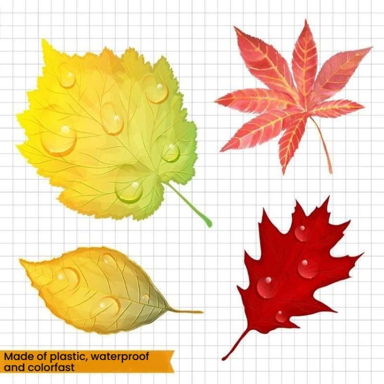 TBD06065079_B2.jpg@949f369e7e1c27ec9c1e815951817b2a