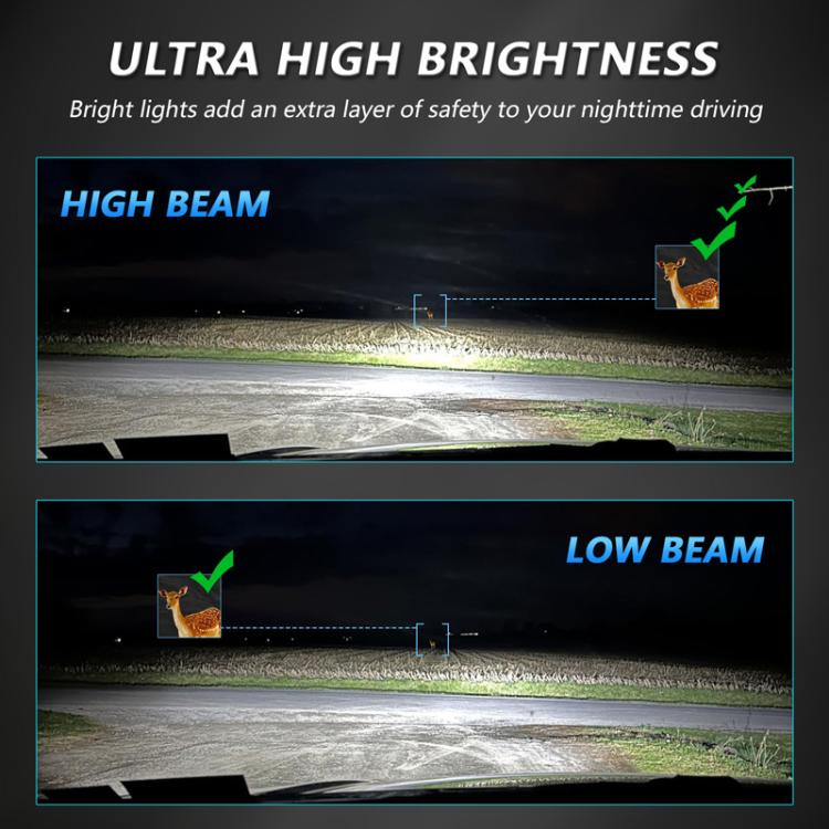 TBD06065360_B3.jpg@c14eaa32508c16e5a17eb429999cc1b2