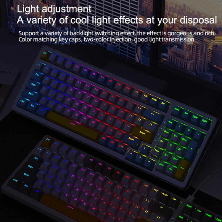 TBD06065392_B9.jpg@d57e071c08a86a5d992c29ba2329c124