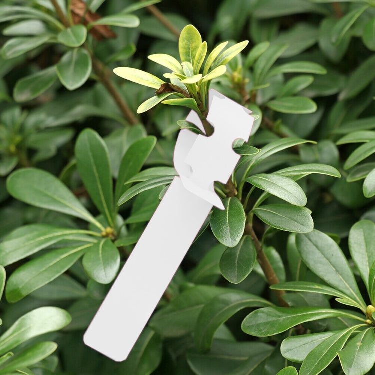 100 PCS Gardening Plant Sapling Seed Hanging Tree Label(White) - Yard & Garden Decor by PMC TechLife | Online Shopping South Africa | PMC TechLife