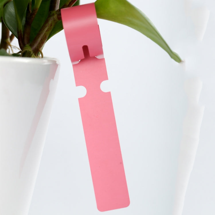 100 PCS Gardening Plant Sapling Seed Hanging Tree Label(Green) - Yard & Garden Decor by PMC TechLife | Online Shopping South Africa | PMC TechLife