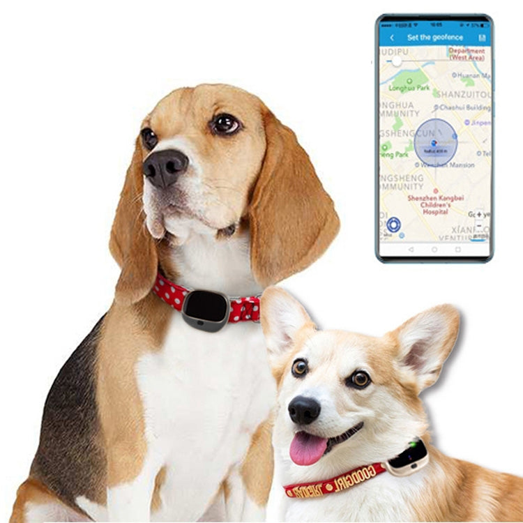 RF-V43 A Style IP67 Waterproof GPS + LBS + WiFi Pet Locator Pet Collar Tracking Device For Asia/Europe/Africa/Australia(Black) - Pet Tracker by PMC TechLife | Online Shopping South Africa | PMC TechLife
