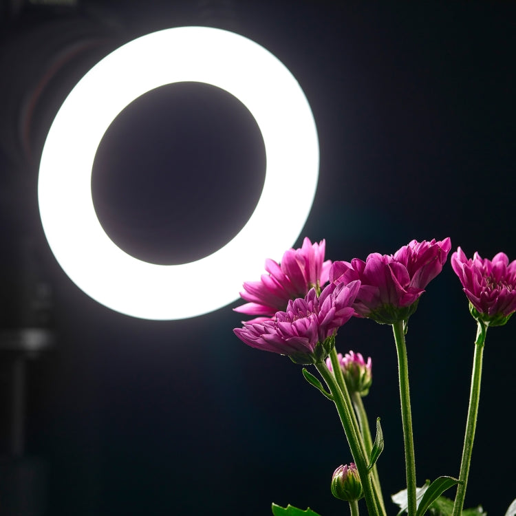 Godox Ring72 Macro Ring 48 LED Flash Light with 8 Different Size Adapter Rings(Black) - free shipping - PMC TechLife - Order now!