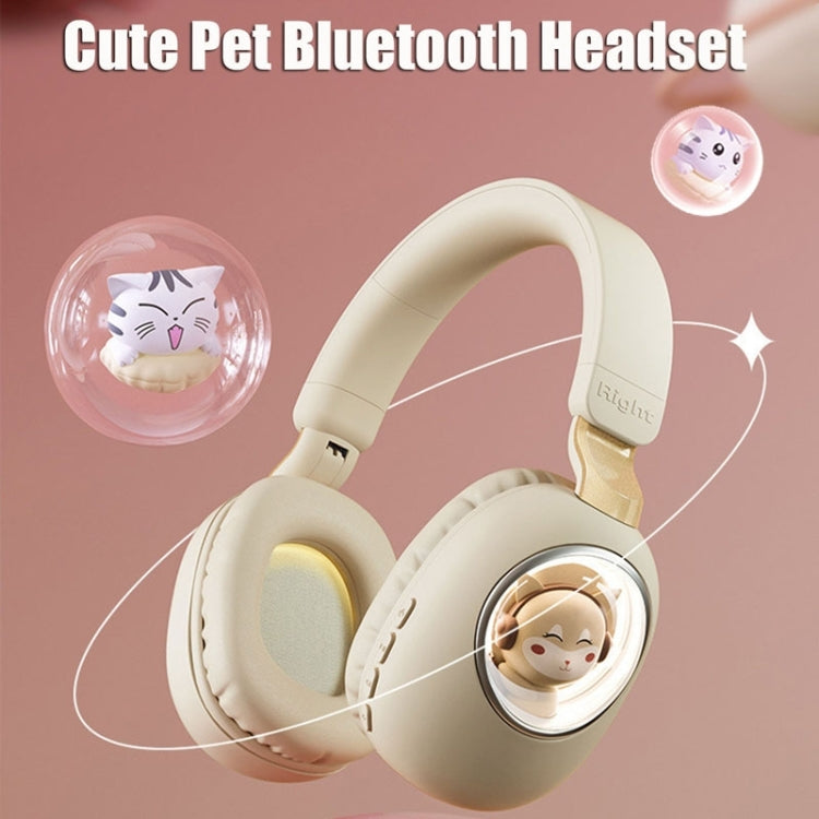 B4 RGB Cartoon Stereo Headset Wireless Bluetooth Headphones(Squirrel) - Headset & Headphone by PMC TechLife | Online Shopping South Africa | PMC TechLife