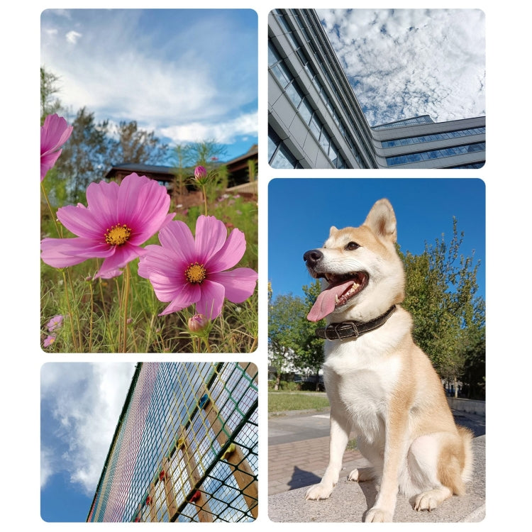 Honor Play8T, 12GB+256GB,  6.8 inch MagicOS 7.2 Dimensity 6080 Octa Core up to 2.4GHz, Network: 5G, OTG, Not Support Google Play(Green) - free shipping - PMC TechLife - Order now!